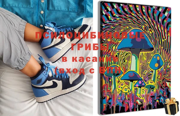 PSILOCYBIN Алексеевка