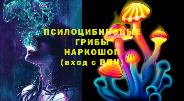 PSILOCYBIN Алексеевка