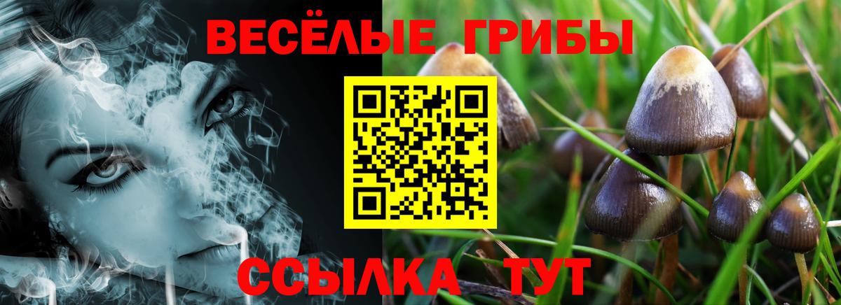 Галлюциногенные грибы Psilocybine cubensis Благодарный